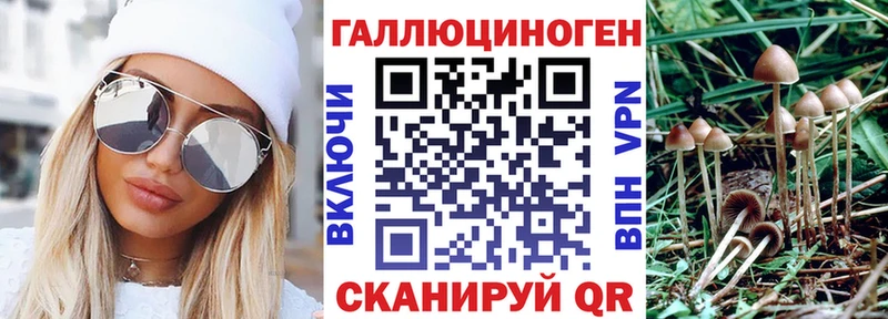 Галлюциногенные грибы Magic Shrooms  магазин продажи наркотиков  Медногорск 
