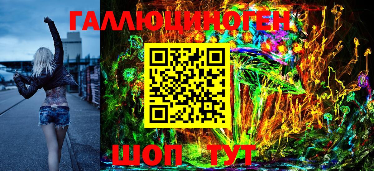 Галлюциногенные грибы Psilocybine cubensis Медногорск
