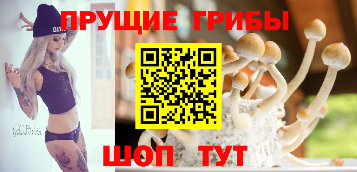 Медногорск  Псилоцибиновые грибы ЛСД  где купить наркоту  Вход с VPN 